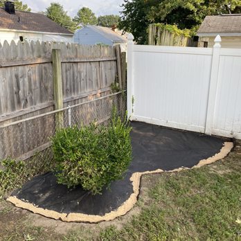 Keeping It Green Landscaping - a small shrub in the backyard - Lawn Services Near Me - Capitol Heights, Maryland