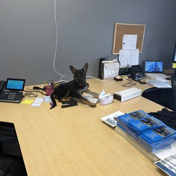 Modern Plumbing & Heating - Shop Dog!! - Plumbing Near Me - Brooklyn Park, Minnesota Modern Plumbing & Heating - Shop Dog!! - Plumbing Near Me - Brooklyn Park, Minnesota