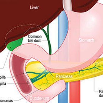 Advanced Gastroenterology - Gastroenterologist Near Me - Troy, New York