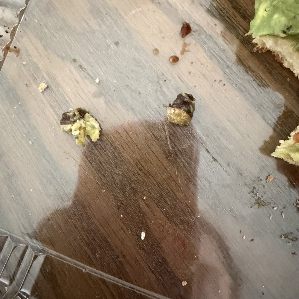 Con Azucar Cafe - Ends of avocado in toast. - Juice Bars & Smoothies Near Me - San Jose, California