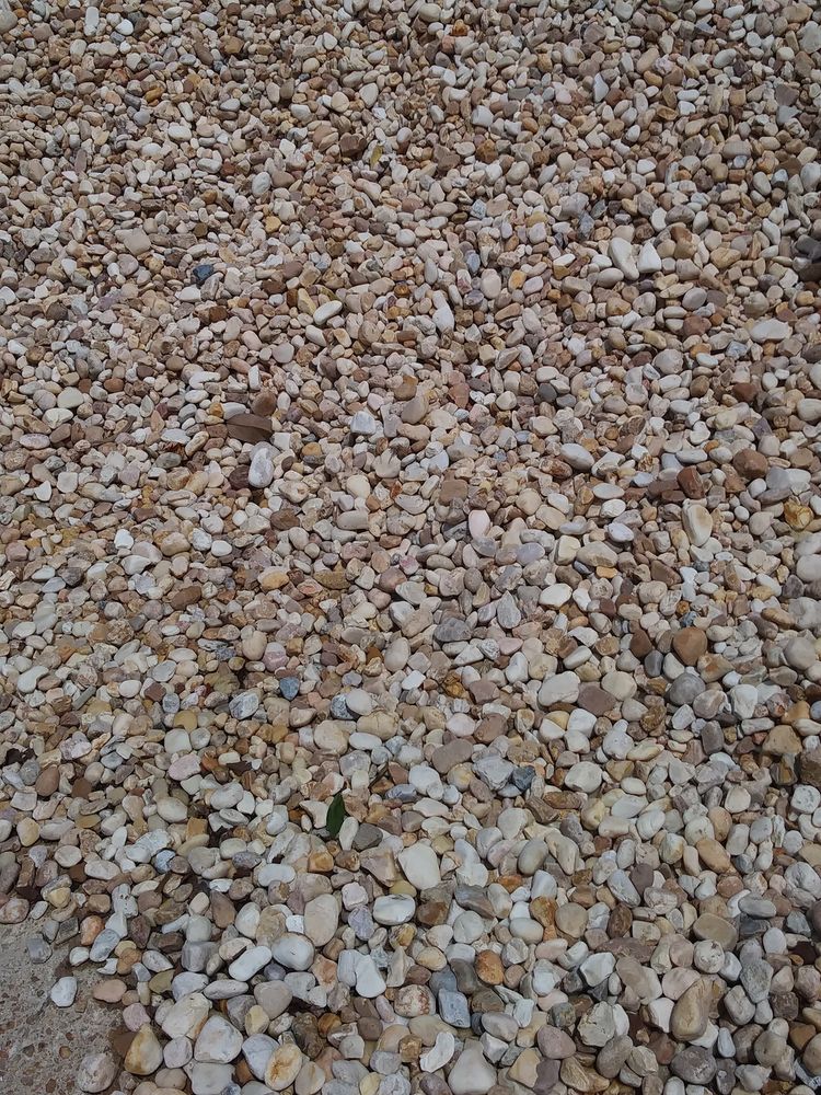 HAEGELE NURSERY & GARDEN CENTER Updated September 2024 44 Photos