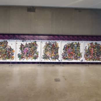 Contemporary Art Museum - November 2020 - Art Museums Near Me - Saint Louis, Missouri
