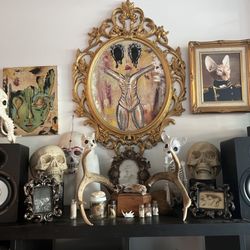 Paxton Gate - Love it so much I've taken an interest in collecting taxidermy.
