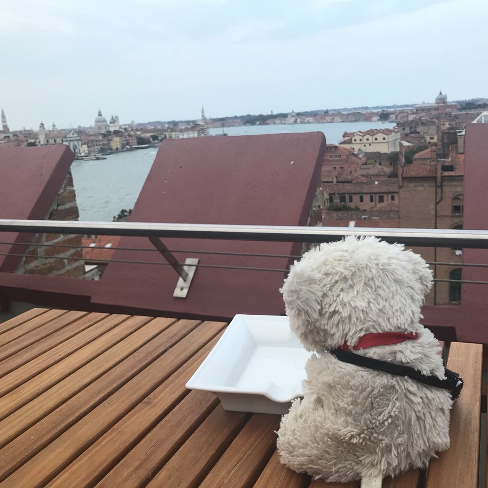 Skyline Rooftop Bar - Cocktail Bars Near Me - Venezia, VE
