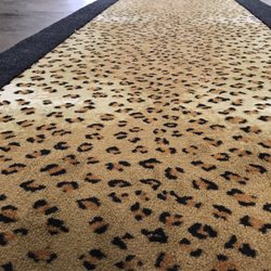 Jay & Ed's Wholesale Carpet - Let your wild side out. Animal prints IN STOCK !!