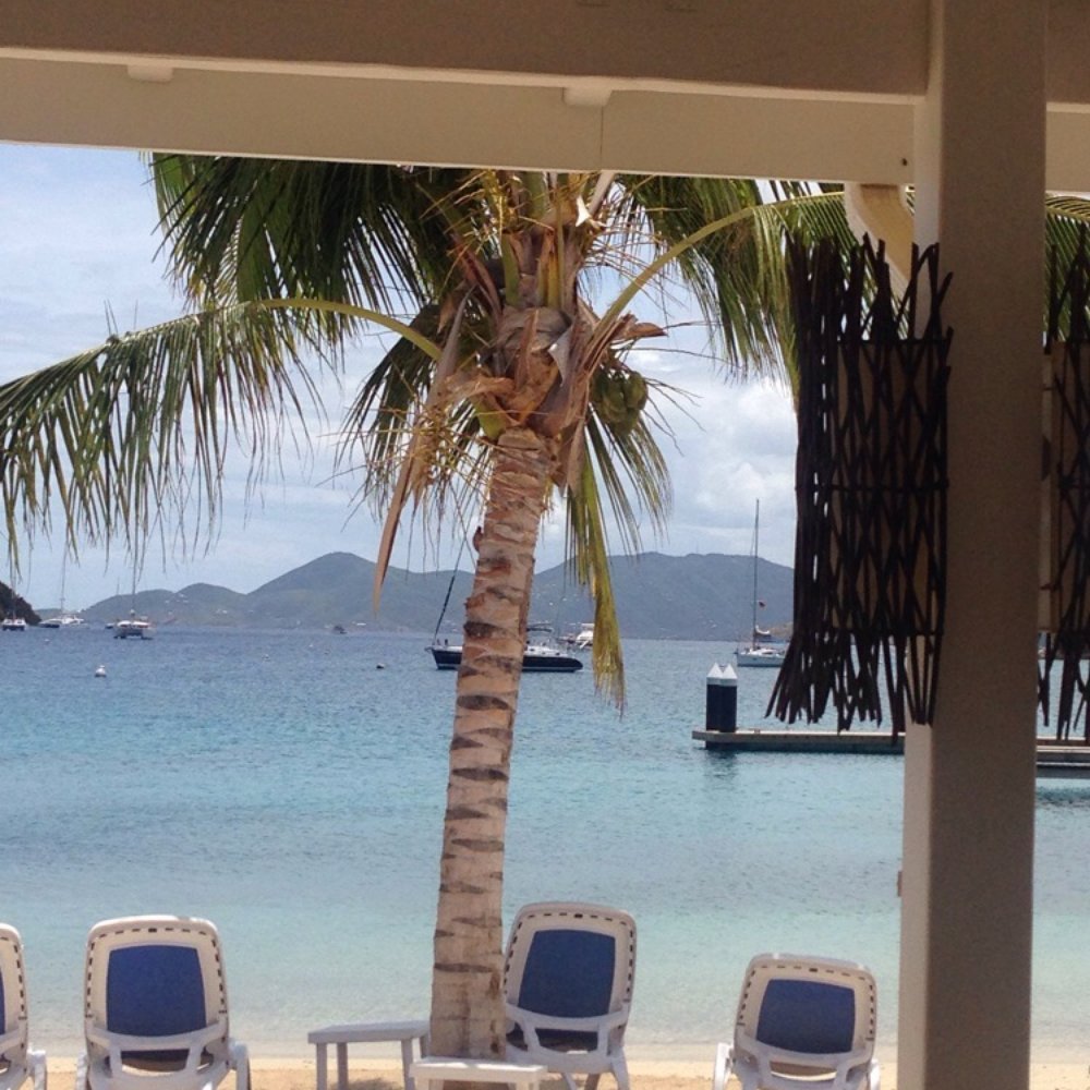 The view from your table