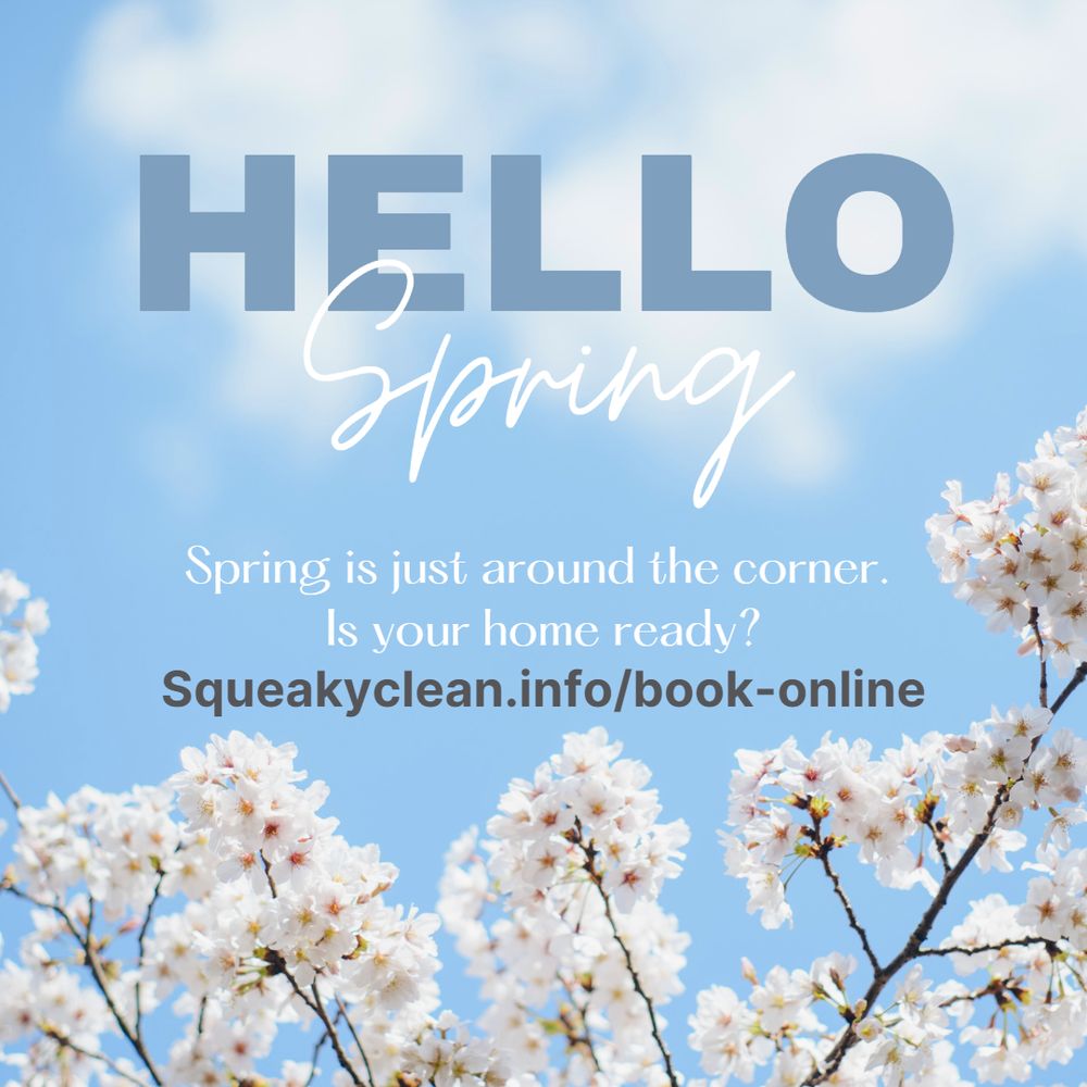 Squeaky Clean - grief counselor in Minneapolis, MN