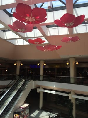 Little Tokyo Galleria by null