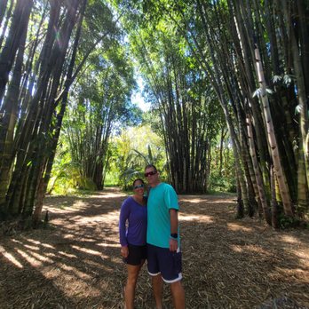 Hike Maui - At the start Mongst the bamboo trees - Tours Near Me - Kahului, Hawaii