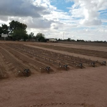 Greenhouse Gardens - Farmers Market Near Me - Chandler, Arizona Greenhouse Gardens - Farmers Market Near Me - Chandler, Arizona