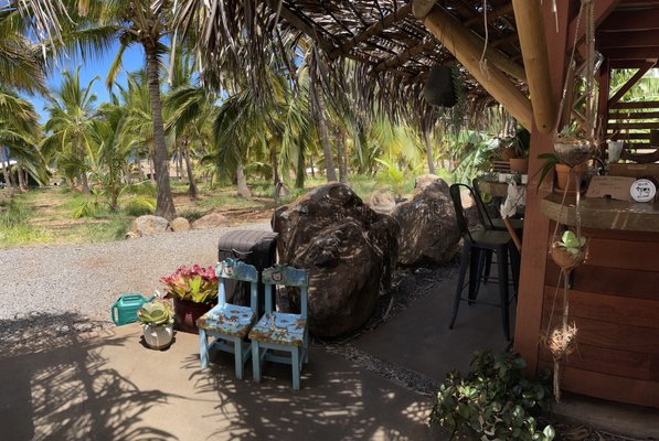 Punakea Palms by null