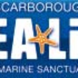 Scarborough Sealife - Sea Life Centre, Great Scarborough