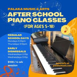 Palaka Music and Arts Studio