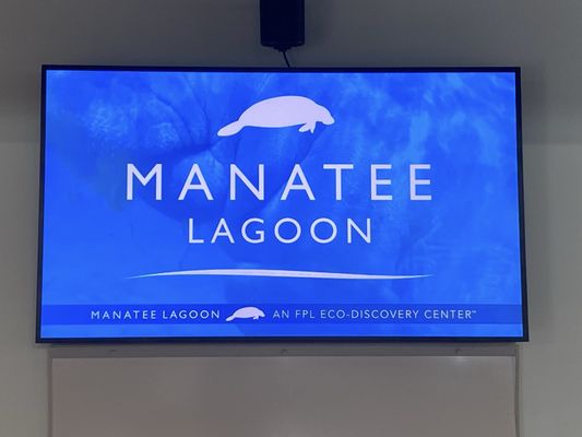 Manatee Lagoon by null