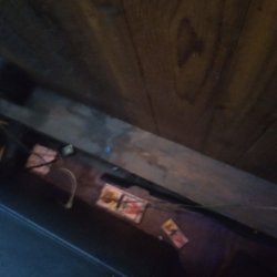 The Dover Inn - Mouse and rat traps behind gambling machines