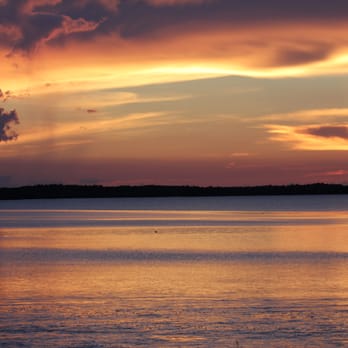 Everglades Airboat Charters - Tours Near Me Everglades Airboat Charters - Tours Near Me