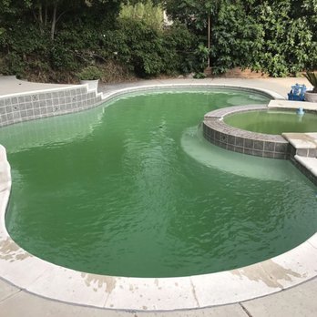 Bayside Pools - Pool Cleaners Near Me