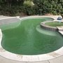 Photo of Bayside Pools