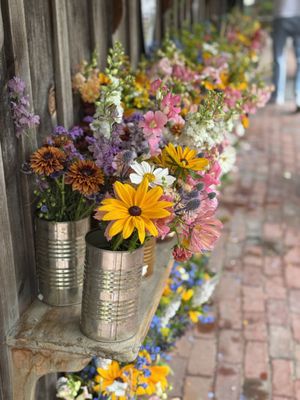 Morning Glory Farm by null