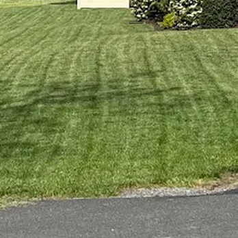 TruGreen Lawn Care - Weeds or thinning grass need attention? Explore TruGreen's lawn treatment in Broadway, VA, and nearby Timberville. - Lawn Services Near Me - Broadway, Virginia TruGreen Lawn Care - Weeds or thinning grass need attention? Explore TruGreen's lawn treatment in Broadway, VA, and nearby Timberville. - Lawn Services Near Me - Broadway, Virginia