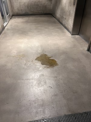 1555 Vine St by null