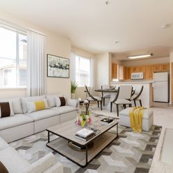 City Centre Apartments