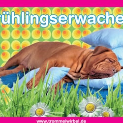 Trommelwirbel - Betten aller Art werden wie neu im Trommelwirbel...Daunen fluffen wieder!