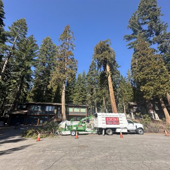A Tall Tree Service - Tree Services Near Me - Tahoma, California A Tall Tree Service - Tree Services Near Me - Tahoma, California