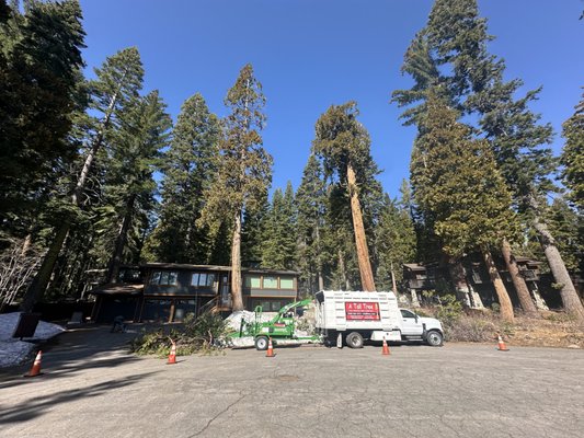 Lot Cleaning & Yard Clean Up Services - We clear overgrown lots from of any size using the newest and best practices that will save you time and money. We will assess your land and come up with a plan that fits your needs and budget. We can also provide detailed yard clean up, from pine needles to old wood. We can remove it safely and reasonably. Lot Cleaning & Yard Clean Up Services - We clear overgrown lots from of any size using the newest and best practices that will save you time and money. We will assess your land and come up with a plan that fits your needs and budget. We can also provide detailed yard clean up, from pine needles to old wood. We can remove it safely and reasonably.