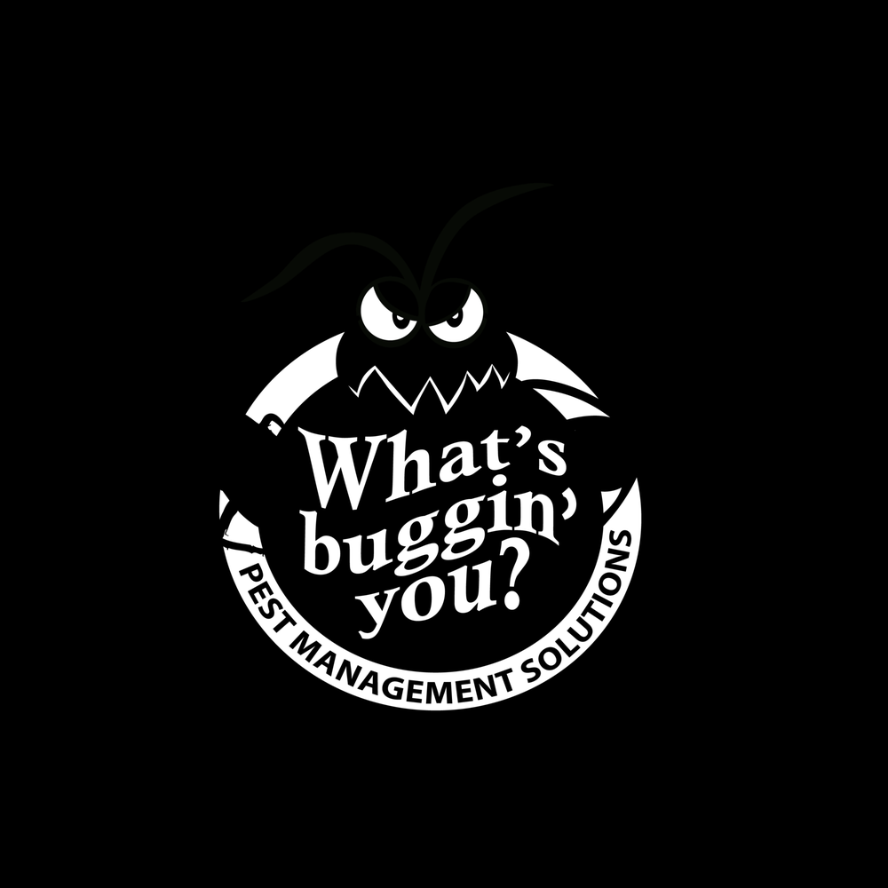 WHAT’S BUGGIN YOU PEST CONTROL & TERMITE MANAGEMENT Park Ridge