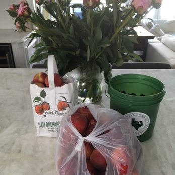 Ham Orchards - Our peach and blackberry haul. - Farmers Market Near Me - Terrell, Texas