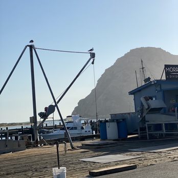 Tognazzini's Dockside Too - Seafood Near Me - Morro Bay, California Tognazzini's Dockside Too - Seafood Near Me - Morro Bay, California