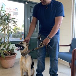 Silicon Valley Pet Clinic - Daddys little boy!
