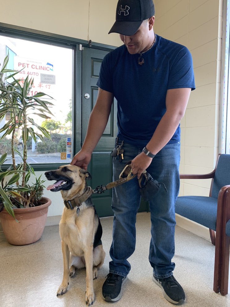 Silicon Valley Pet Clinic - pet boarding facility in Santa Clara, CA