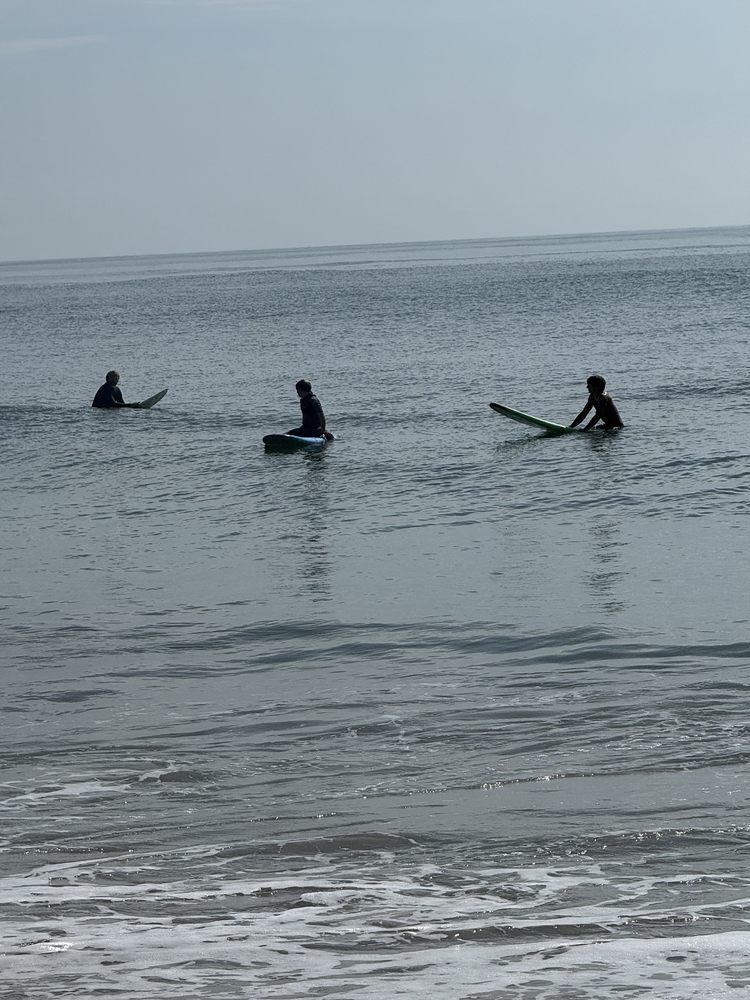 Wave Riding School Logo