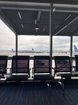 JetBlue Airways by null