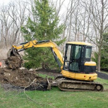 Tarzan Tree Service - Tree Services Near Me Tarzan Tree Service - Tree Services Near Me
