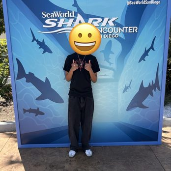 SeaWorld - Sons height for reference - Zoos Near Me - Los Angeles, California SeaWorld - Sons height for reference - Zoos Near Me - Los Angeles, California