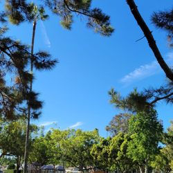 Michigan Park