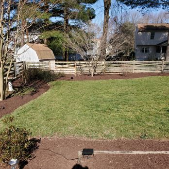 Tino’s Landscaping - Spring clean up - Tree Services Near Me Tino’s Landscaping - Spring clean up - Tree Services Near Me