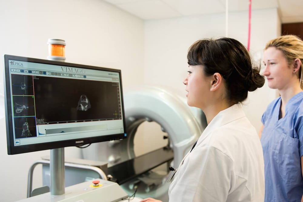 chrome vegeta pop funimation