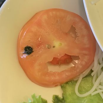 Spicy Basil - Asian Fusion Near Me - Englewood, Colorado Spicy Basil - Asian Fusion Near Me - Englewood, Colorado
