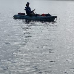 Salmon Shores RV Park - Nice friend cruising by...