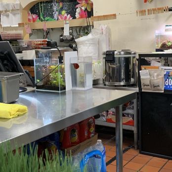 Thai Kitchen - Clean! And they like (live) fish. - Thai Near Me - Los Angeles, California Thai Kitchen - Clean! And they like (live) fish. - Thai Near Me - Los Angeles, California
