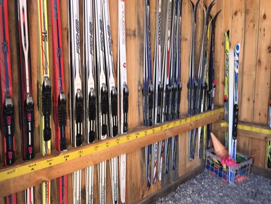 Roberts Farm Preserve Trails by null