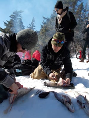 Kattuk Expeditions by null