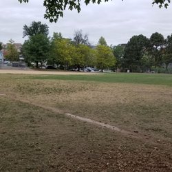 Hirshorn Park - Open space