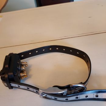 Best Friends Furever - The Actual Shock Collar Used On Our Dog At The Hand Of Flora P. - Pet Services Near Me - Wappingers Falls, New York