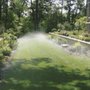 Photo of Bio Turf