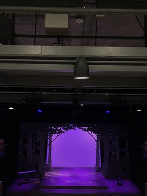 Woolly Mammoth Theatre Company by null